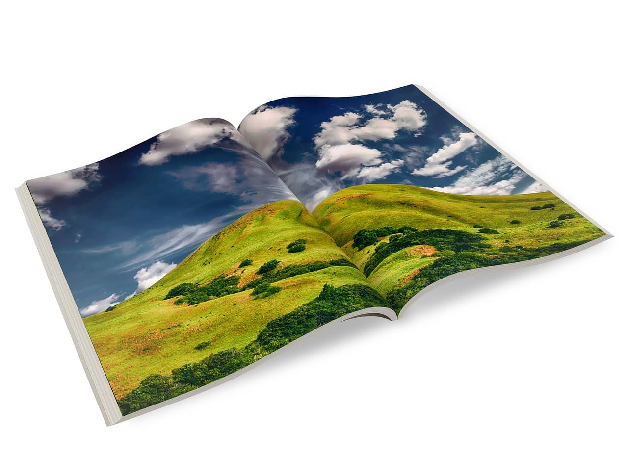 new brochure